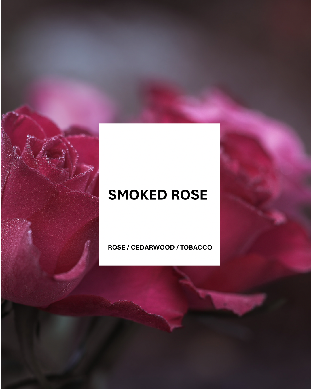 SMOKED ROSE - ApotheGARY