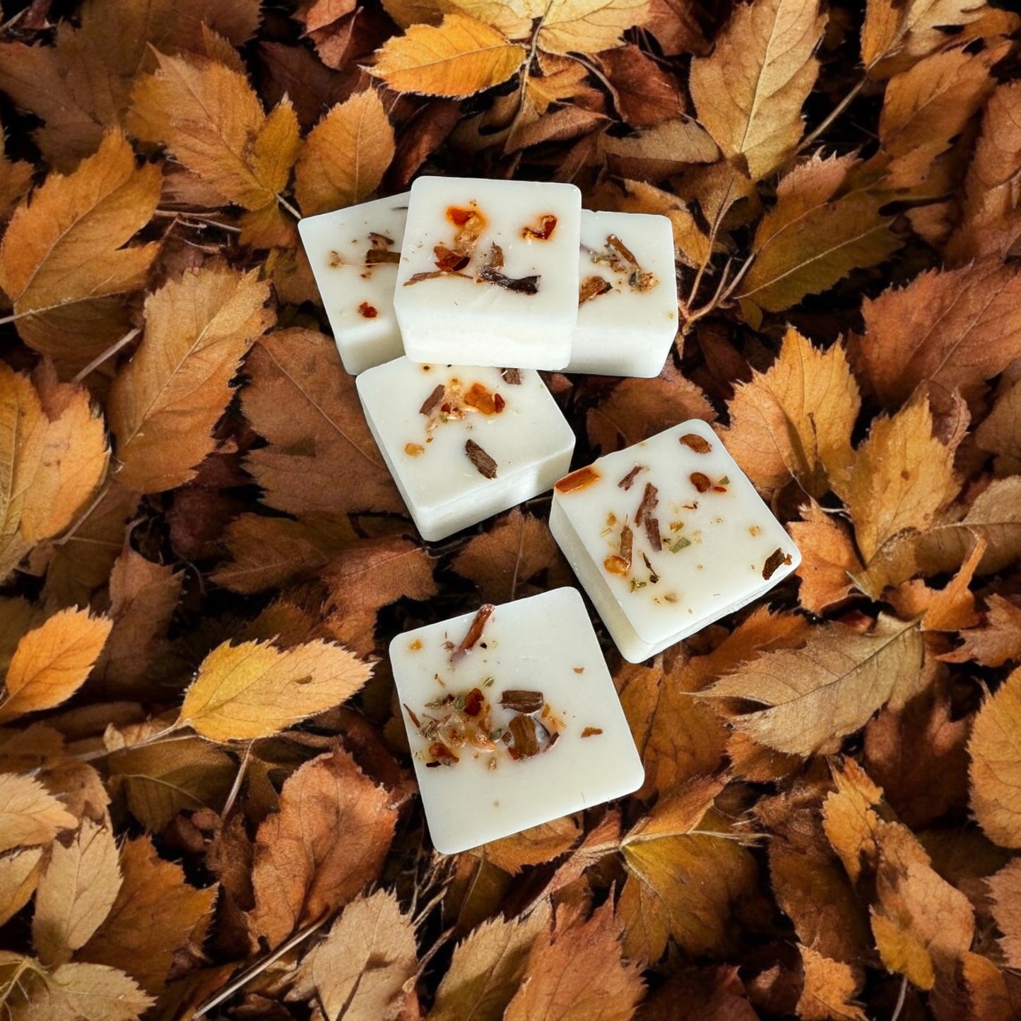 AUTUMN IN THE PARK - ApotheGARY