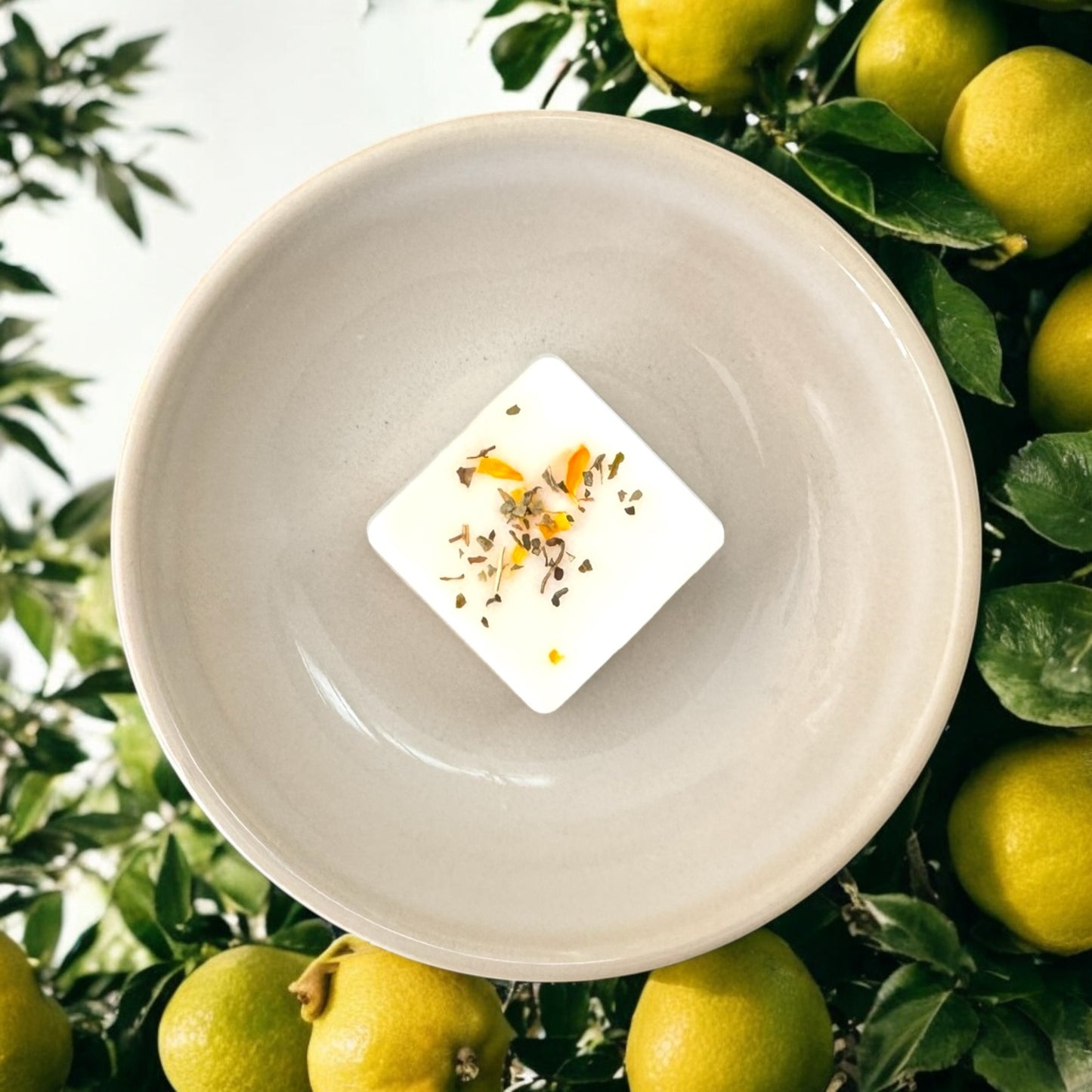 LEMON GROVE