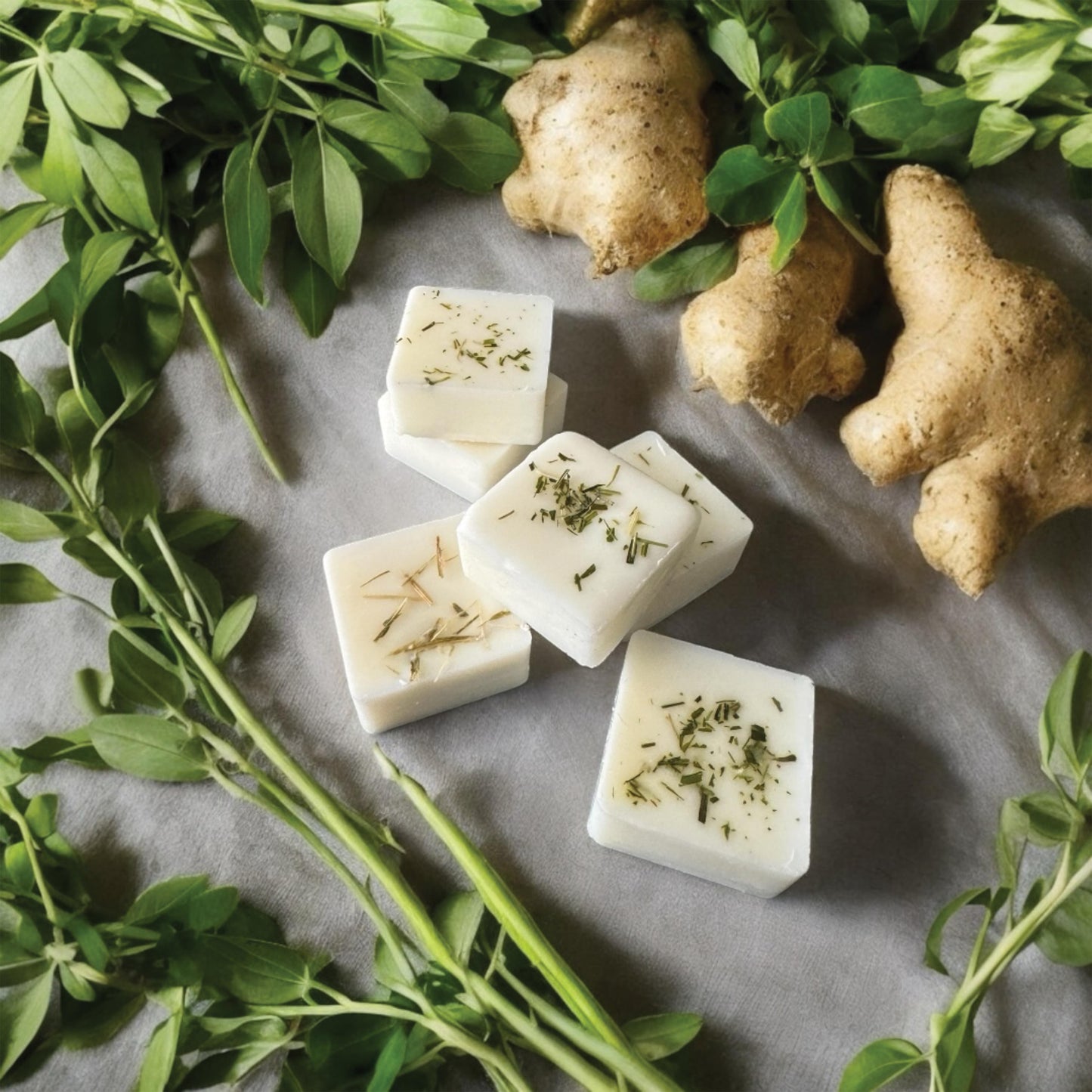 Lemongrass & Ginger - ApotheGARY