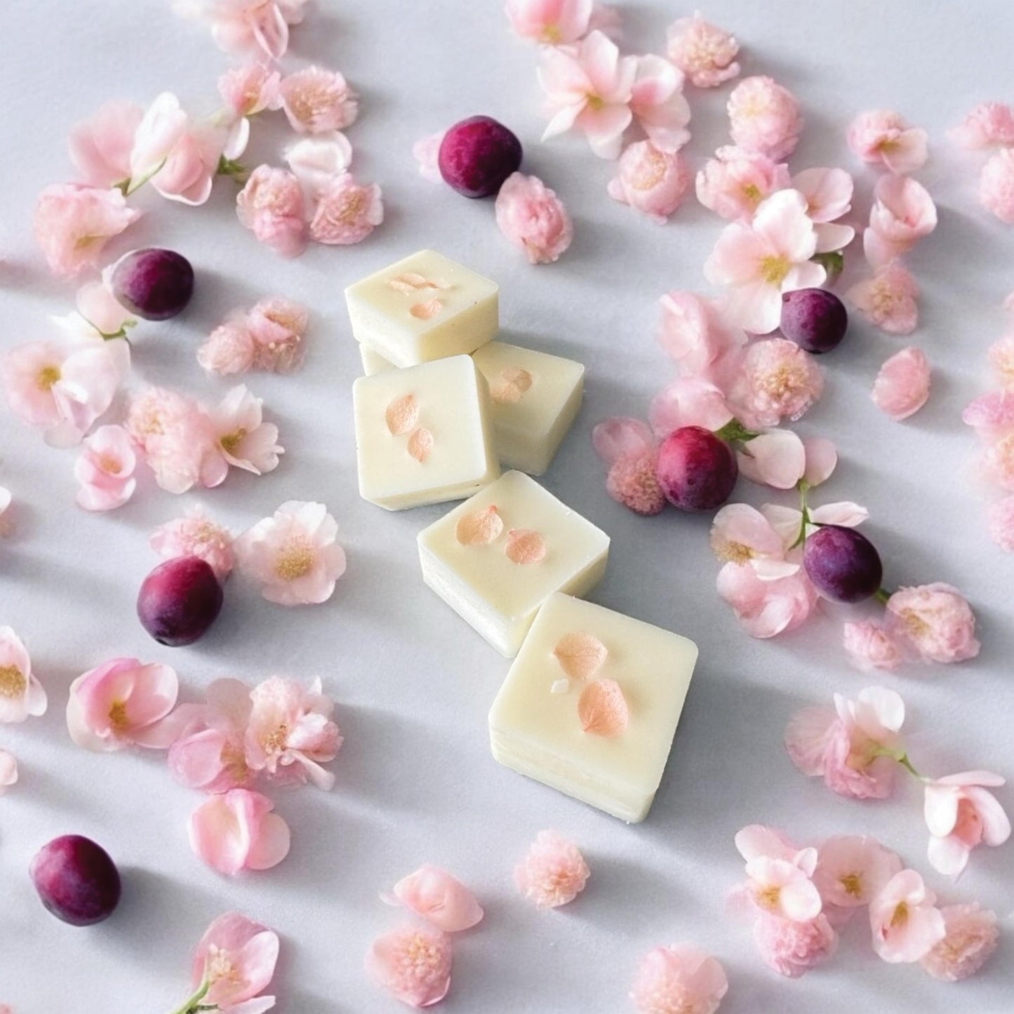 Sakura & Plum - ApotheGARY