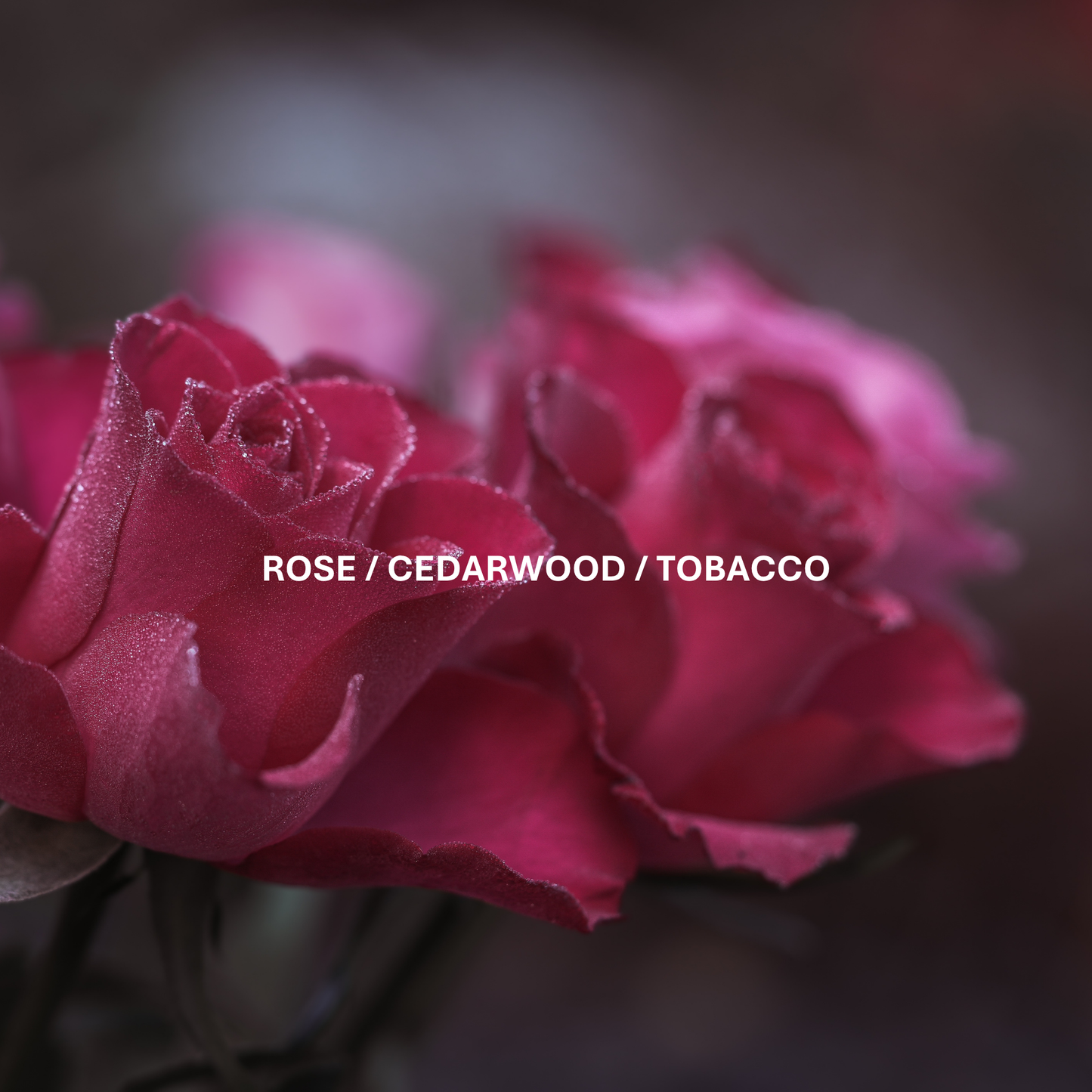 SMOKED ROSE - ApotheGARY