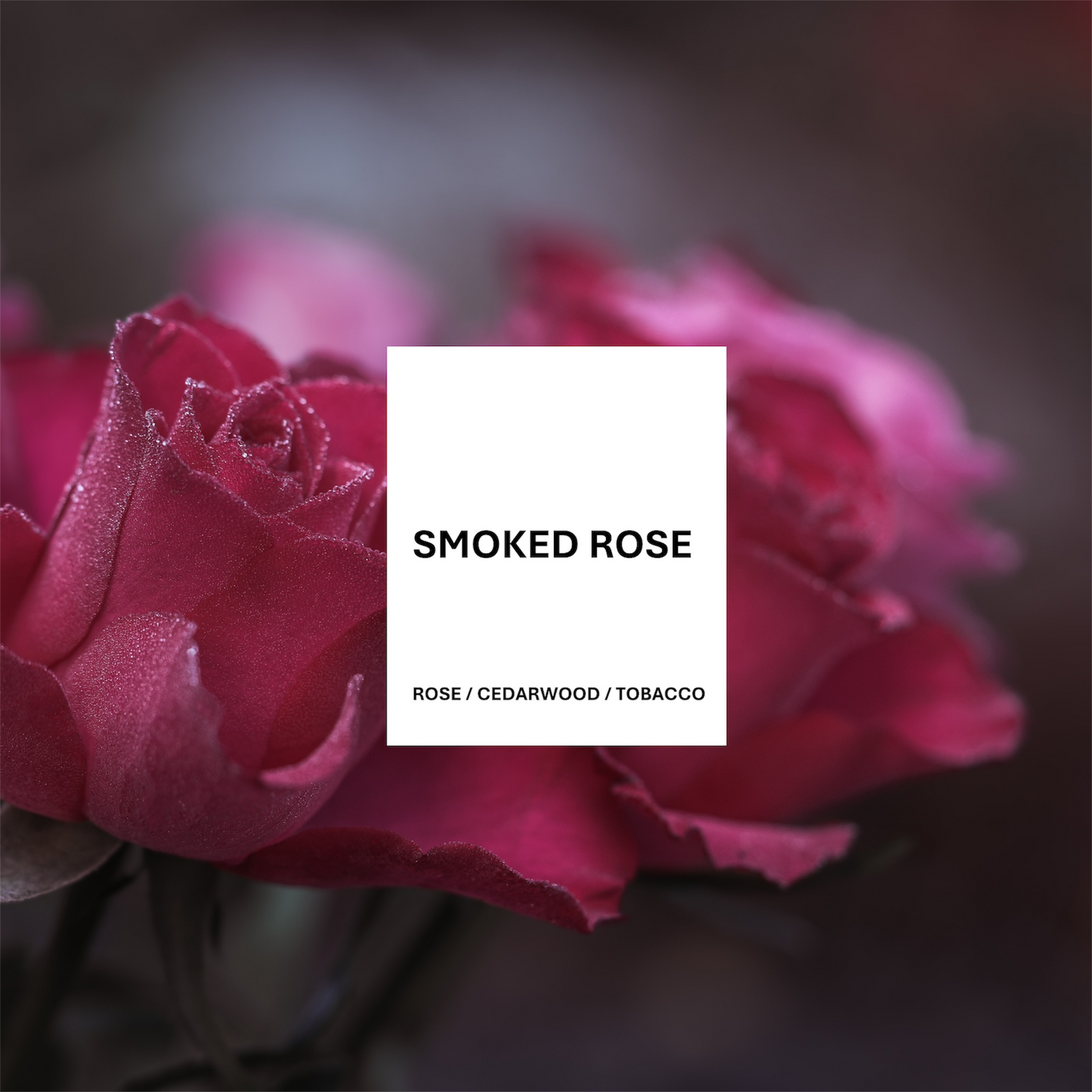 Smoked Rose Soy Wax Melts